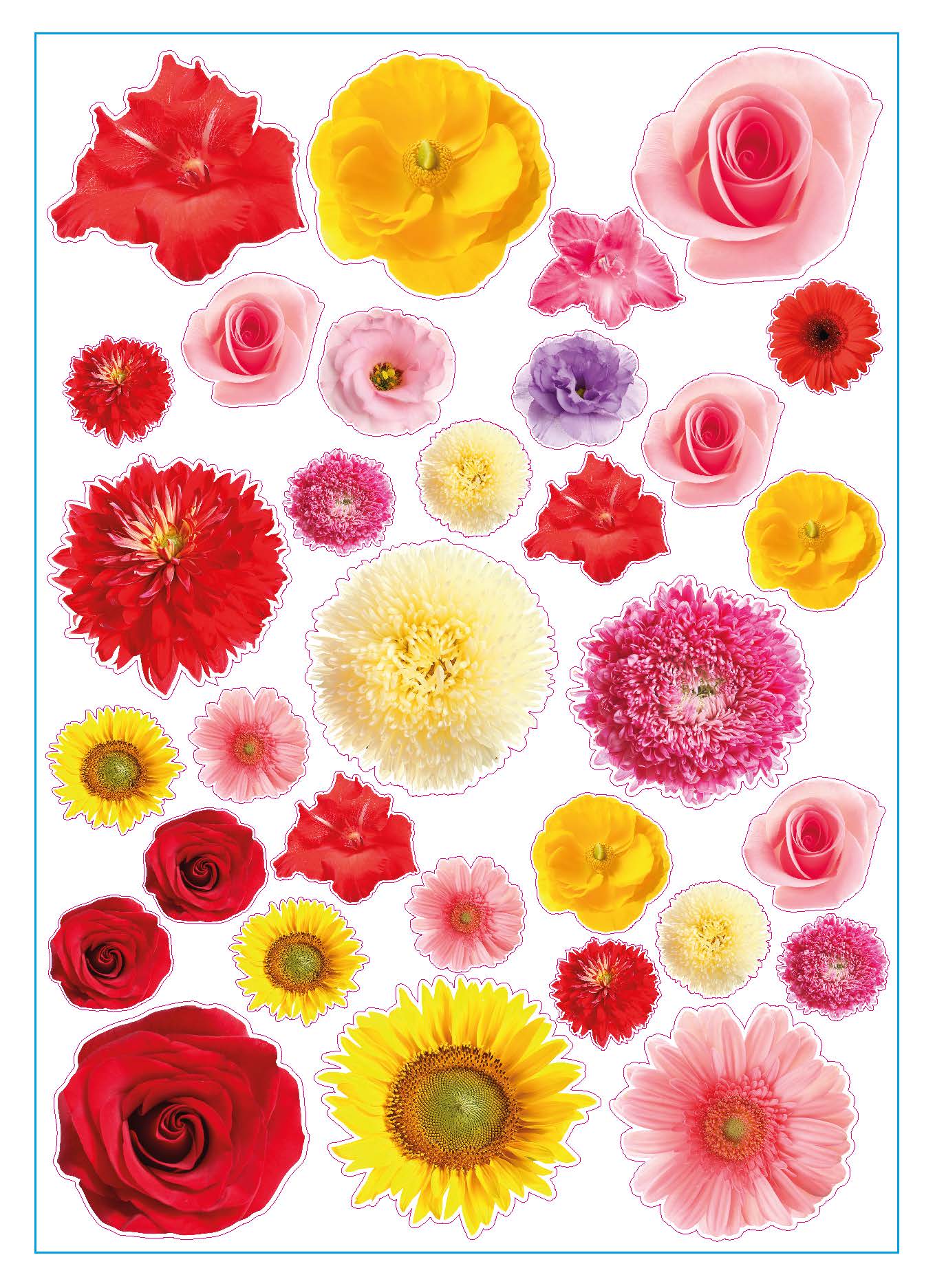 Bloemen Decoratie Stickers voor agenda of Laptop, Kliko | 67-delige Set | Waterbestendig Vinyl