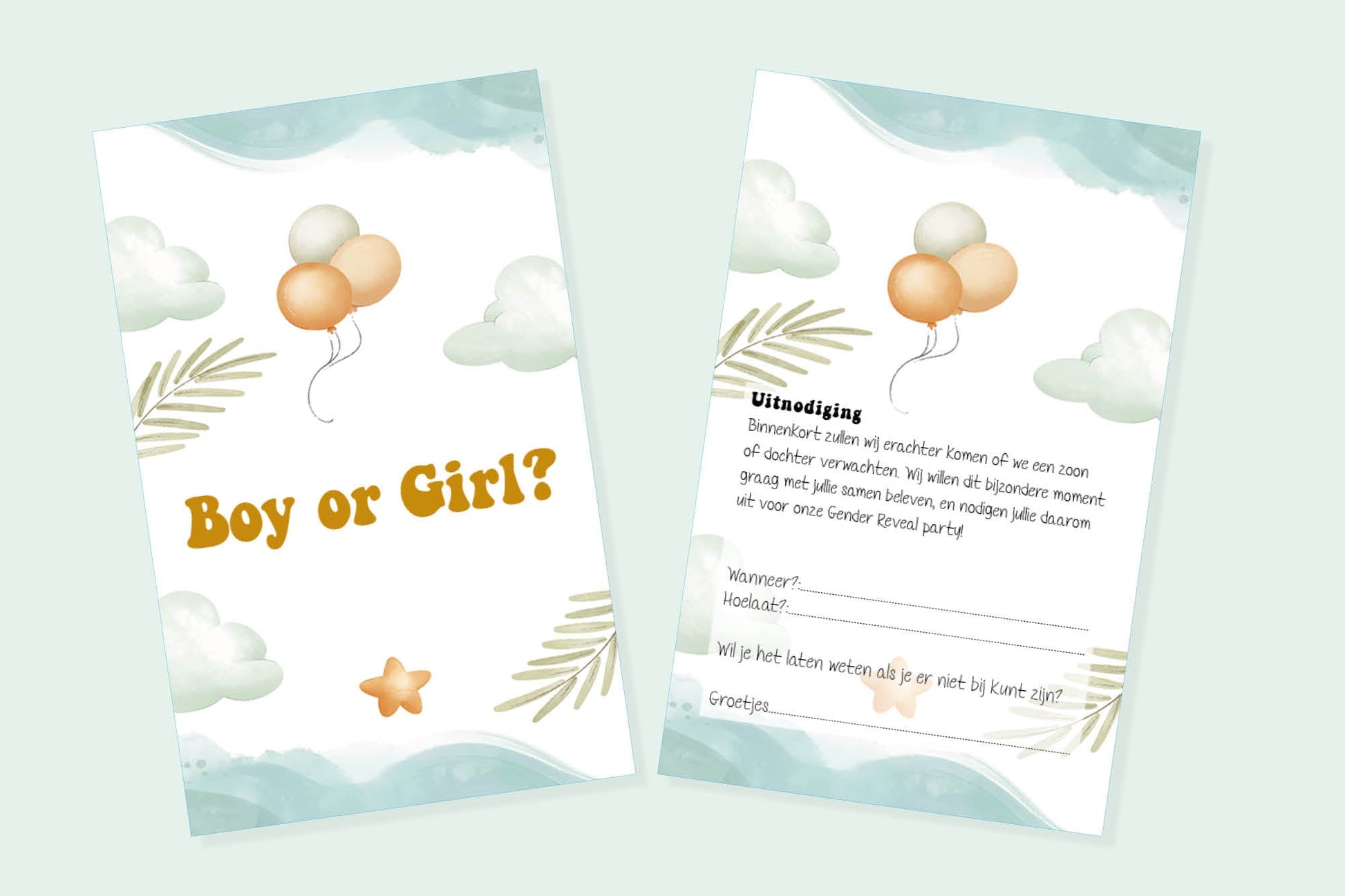 16 x Gender Reveal uitnodiging - uitnodigingen met enveloppen - Gender reveal - Babyshower - Ricard8718133050169