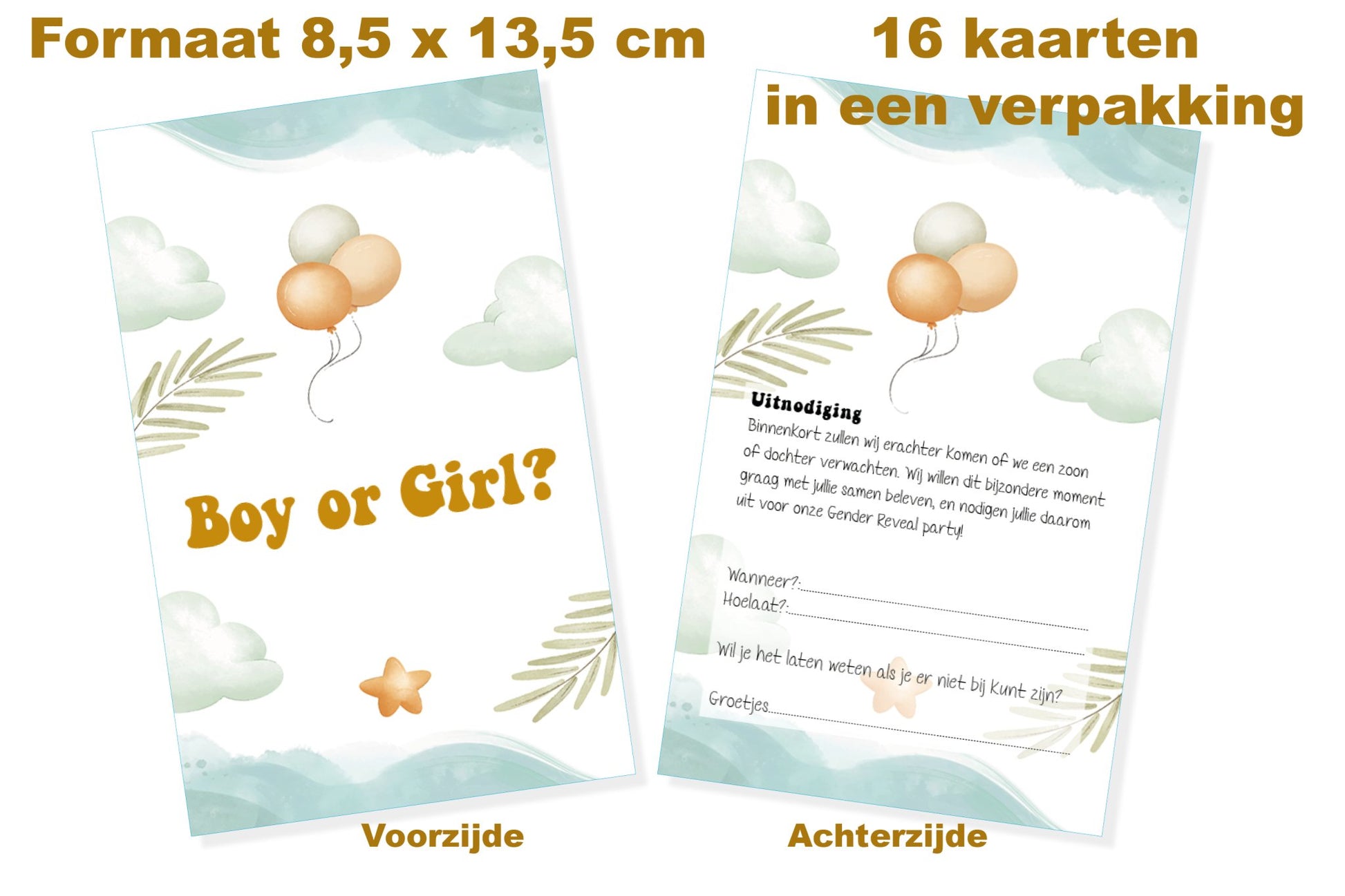 16 x Gender Reveal uitnodiging - Babyshower - uitnodigingen met enveloppen - Gender reveal - Ricard8718133050169