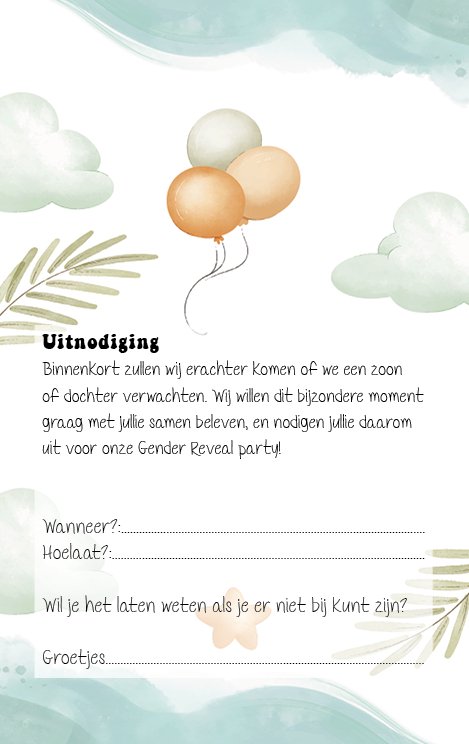 16 x Gender Reveal uitnodiging - Babyshower - uitnodigingen met enveloppen - Gender reveal - Ricard8718133050169