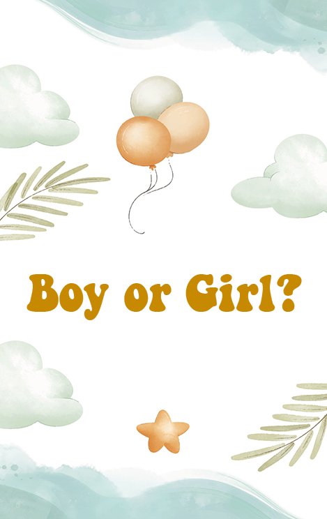 16 x Gender Reveal uitnodiging - Babyshower - uitnodigingen met enveloppen - Gender reveal - - Ricard8718133050169