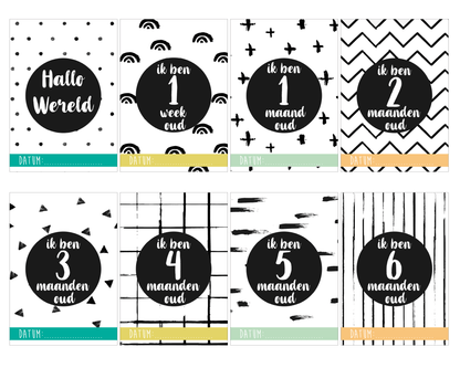 24x Mijlpaalteksten | 24 Milestone Tekst | Grote kaarten (148 mm bij 210 mm) - Milestone01 - Ricard Pictogram stickers -