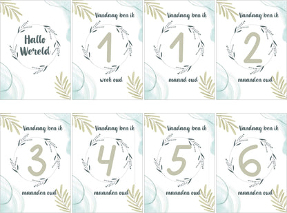 24x Mijlpaalteksten | 24 Milestone Tekst | Grote kaarten (148 mm bij 210 mm) - Milestone07 - Ricard Pictogram stickers -