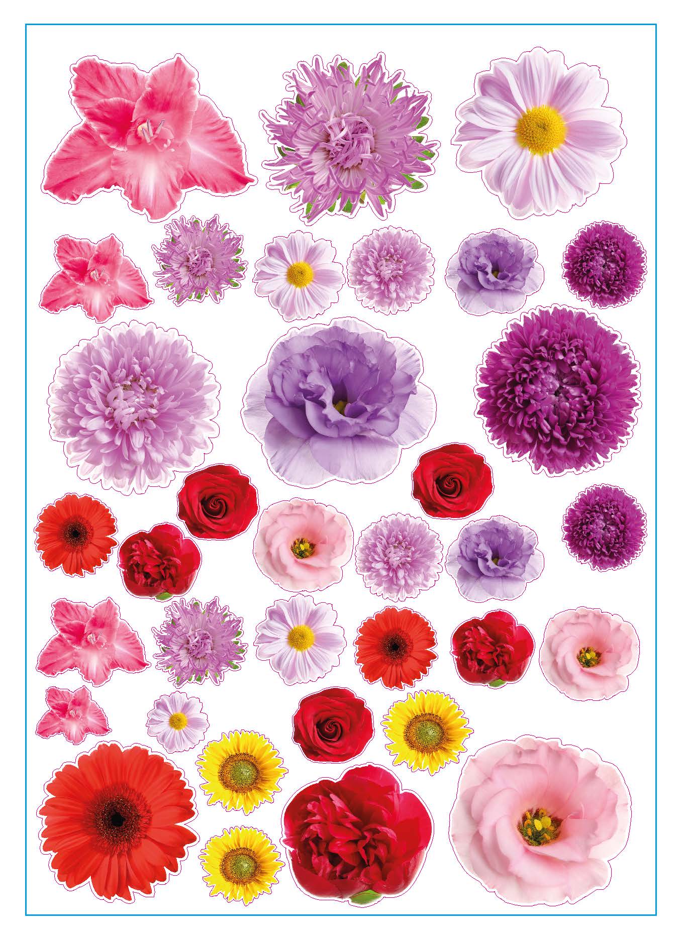 Bloemen Decoratie Stickers voor agenda of Laptop, Kliko | 67-delige Set | Waterbestendig Vinyl