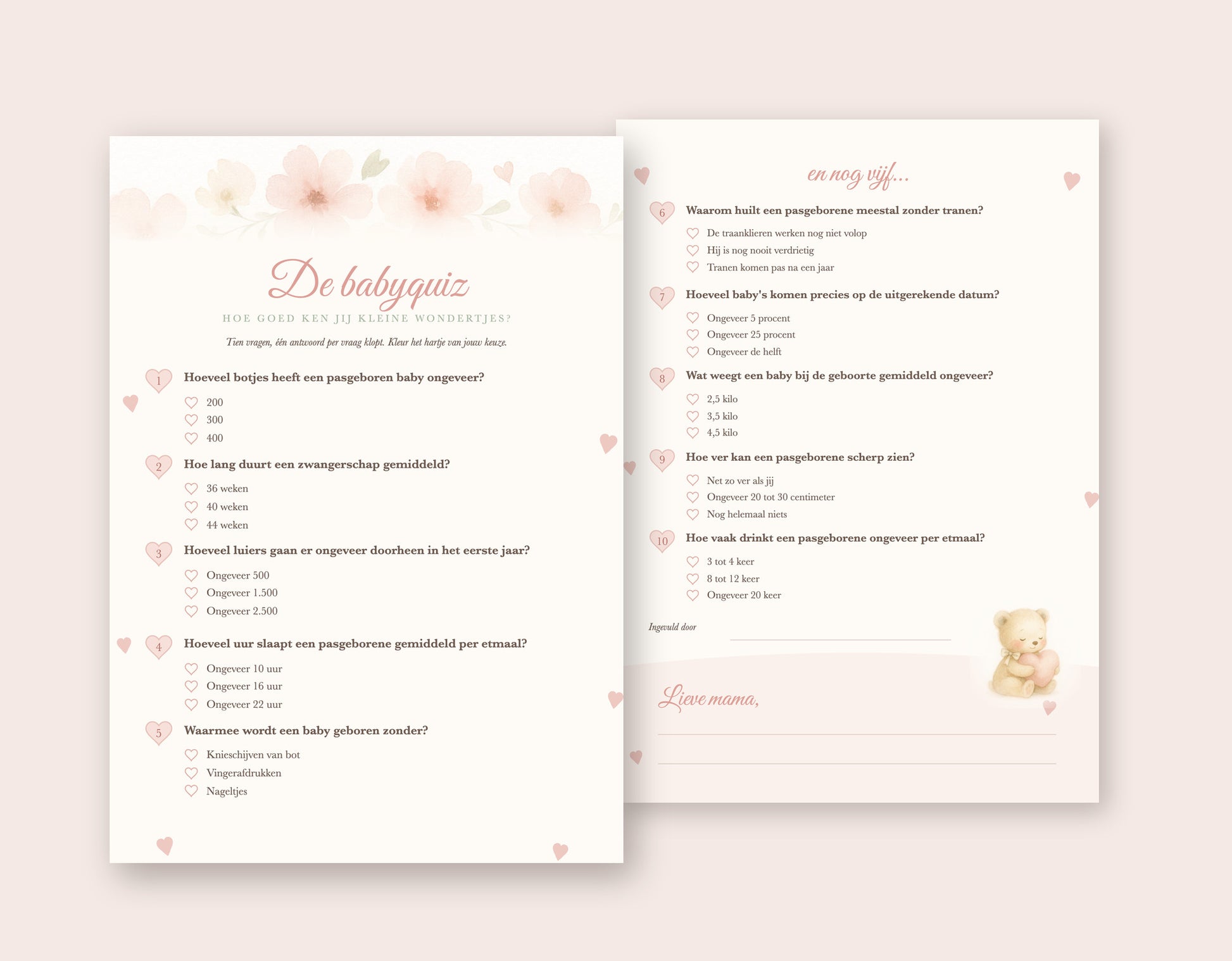 Babyshower quiz A5: voorkant met vraag 1 tot 5 en achterkant met vraag 6 tot 10 over baby's