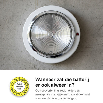 sfeerbeeld Batterij Vervangen Buiten Geel