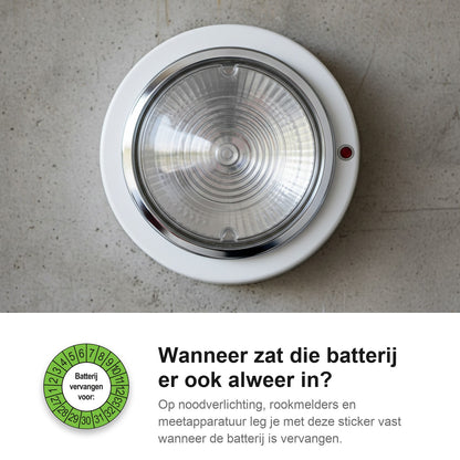 sfeerbeeld Batterij Vervangen Buiten Groen