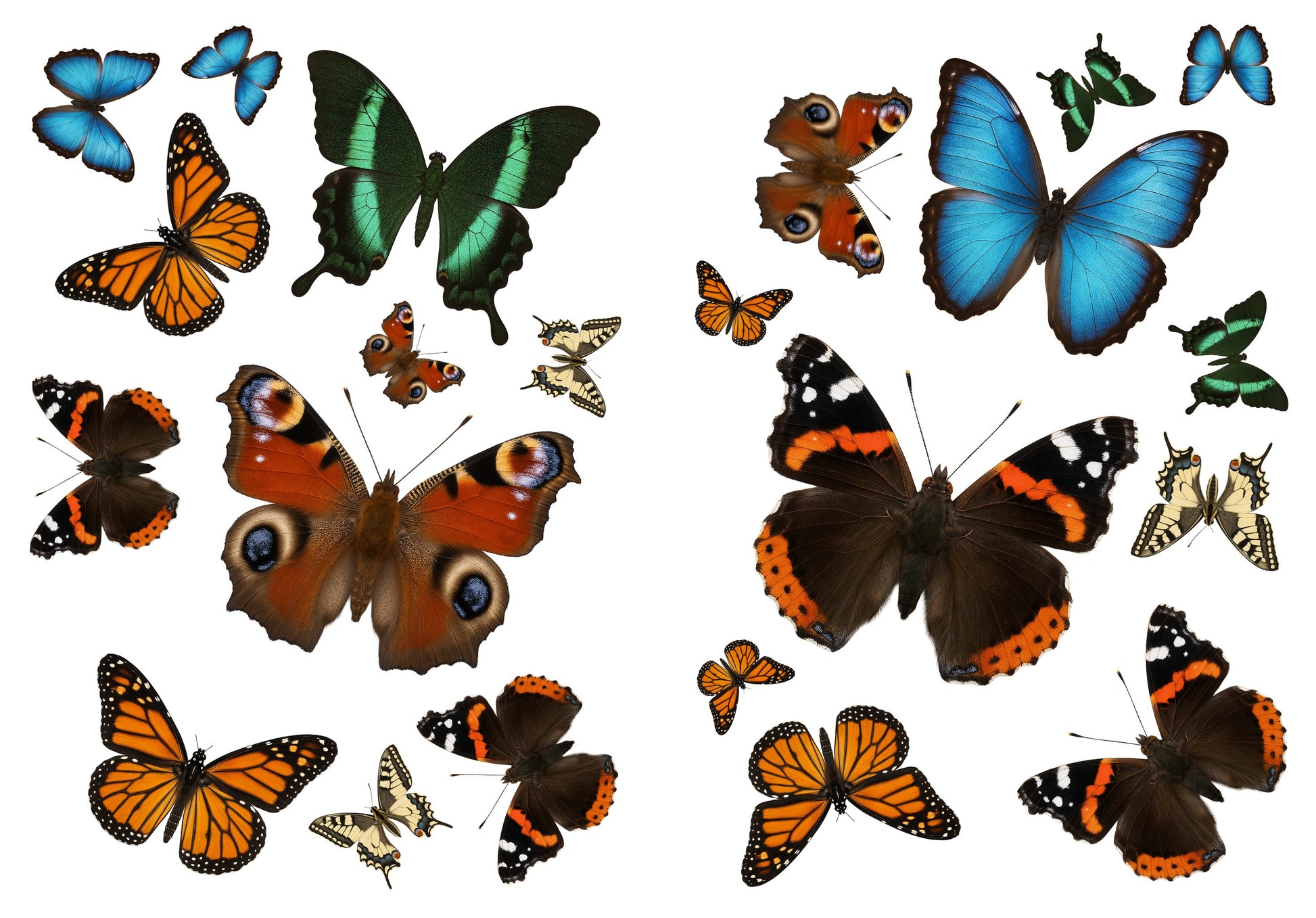 Twee A4-stickervellen met 22 gekleurde vlinderstickers naast elkaar