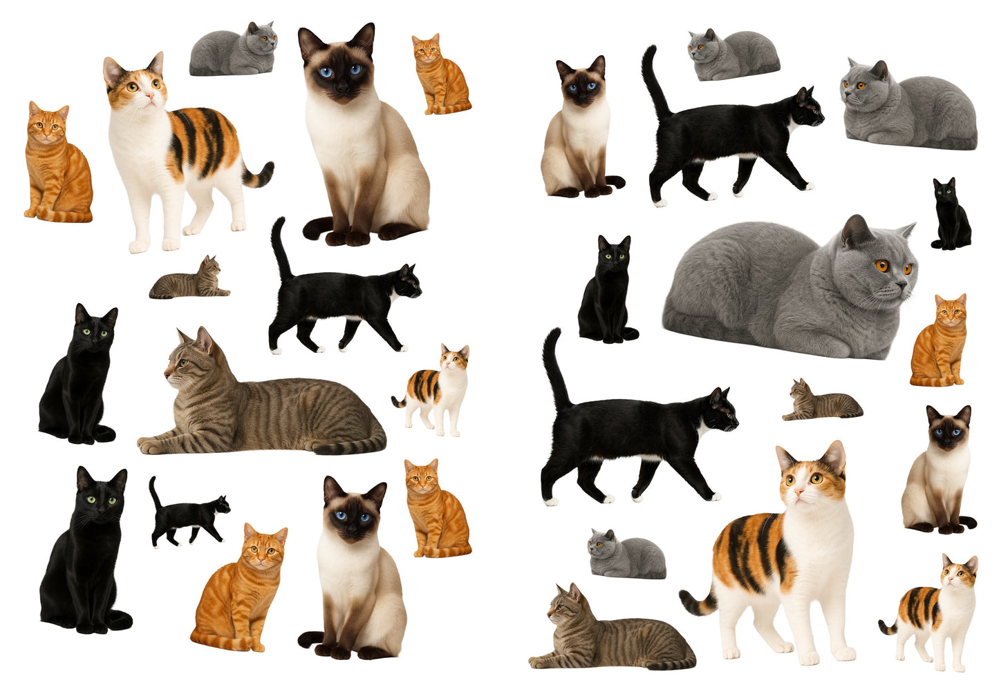 Twee A4-stickervellen met 30 kattenstickers naast elkaar