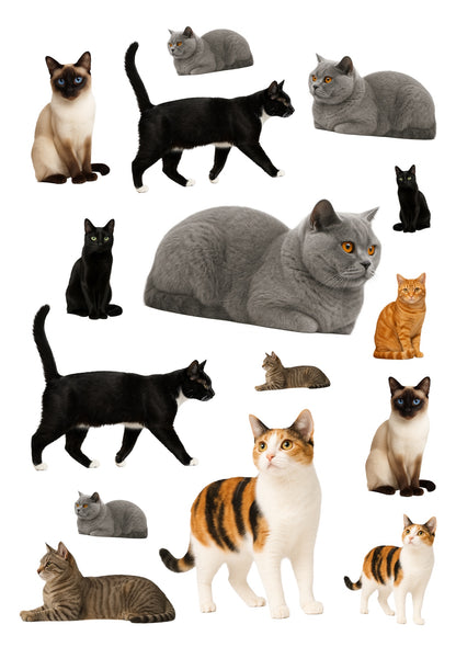 Stickervel A4 met 15 kattenstickers, vel 2 van 2