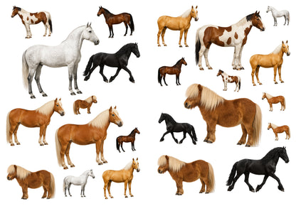 Twee A4-stickervellen met 23 paardenstickers naast elkaar