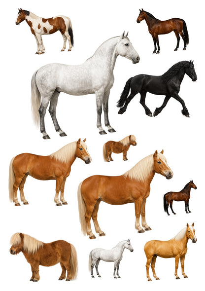 Stickervel A4 met 11 paardenstickers, vel 1 van 2