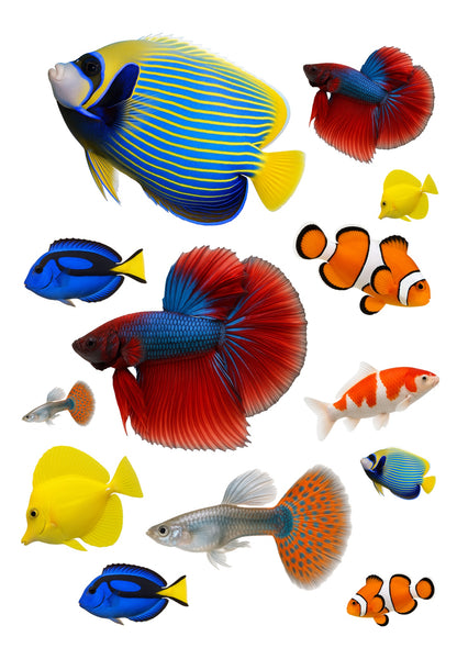 Stickervel A4 met 13 tropische vissenstickers, vel 1 van 2