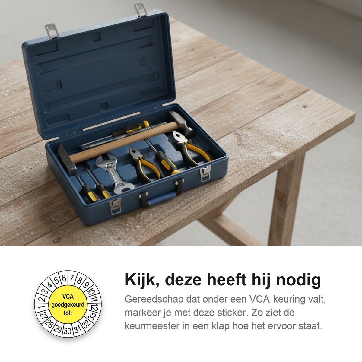 sfeerbeeld VCA Geel
